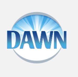 Dawn logo
